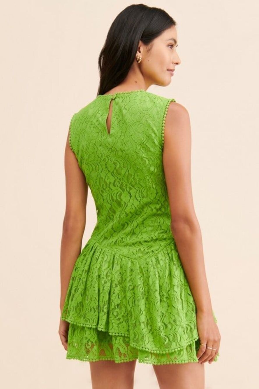 NWT Verb Lace Ruffled Mini Dress Small - Picture 2 of 7